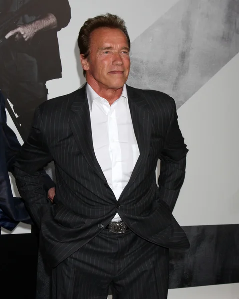 Arnold Schwarzenegger — Photo