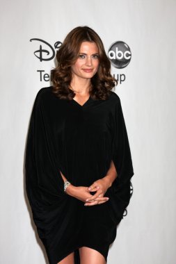 Stana Katic