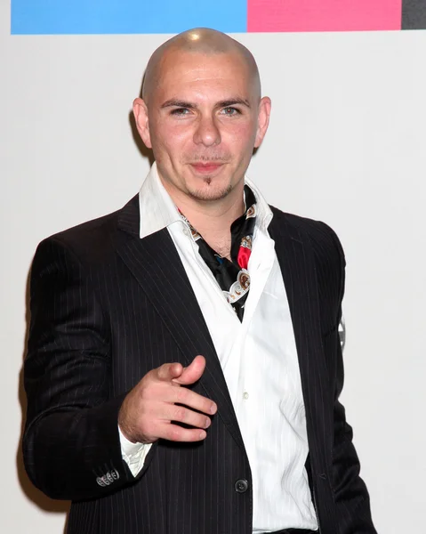 Pitbull — Stok fotoğraf