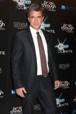Dermot Mulroney