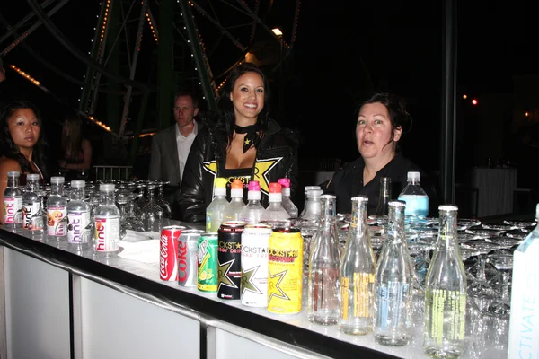 Attends The Brent Shapiro Foundation For Alcohol and Drug Awareness Summer Spectacular 2010 Event — Stock Photo, Image