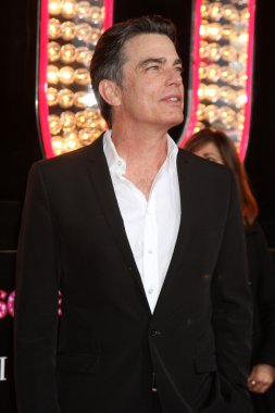 Peter Gallagher