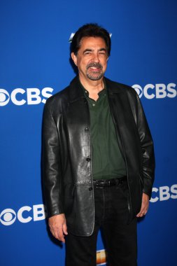 Joe Mantegna