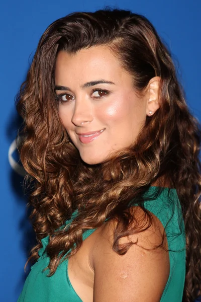 Cote de pablo Stock Photos, Royalty Free Cote de pablo Images |  Depositphotos