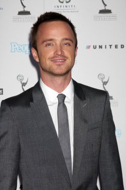 Aaron Paul