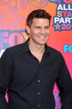 David Boreanaz