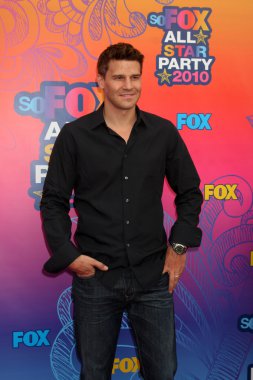 David Boreanaz