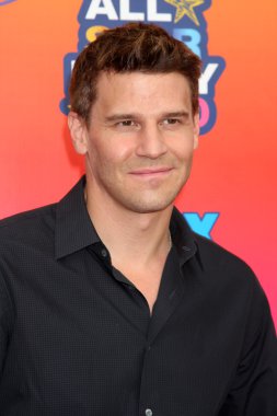 David Boreanaz