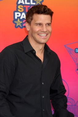 David Boreanaz