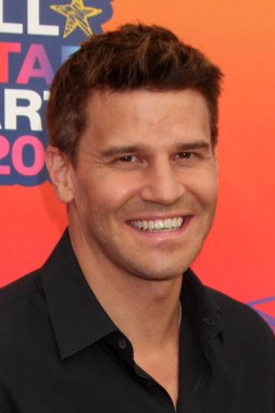 David Boreanaz