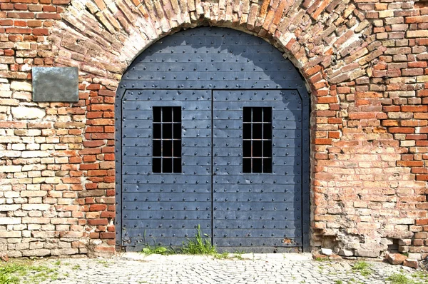 오래 된 회색 문 — 스톡 사진