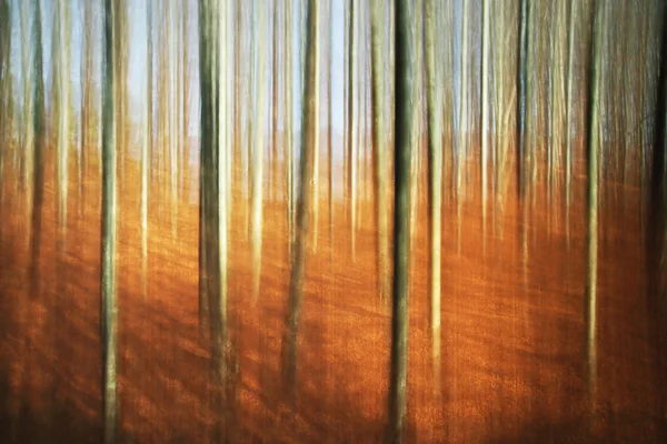 Foresta autunnale astratta - effetto pittura — Foto Stock