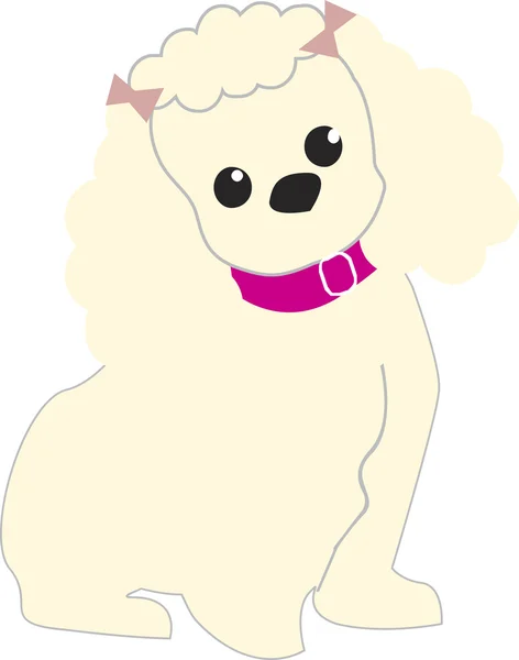 En hund med en rosa krage och rosetter i håret — Stockfoto