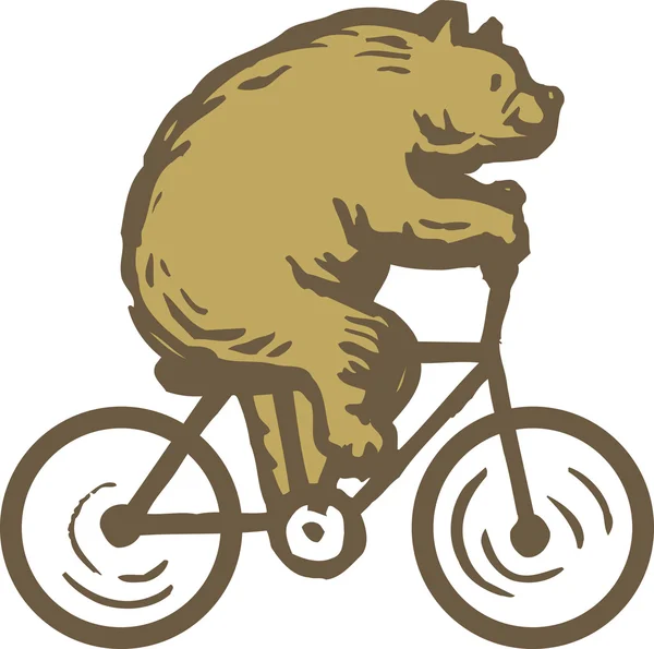 Μια αρκούδα οδήγηση ενός ποδηλάτου — Φωτογραφία Αρχείου