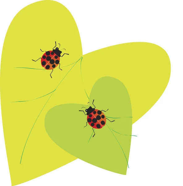 Ladybugs στα φύλλα — Φωτογραφία Αρχείου