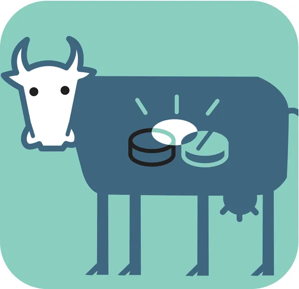 Karnı içinde parlak sikke ile inek — Stok fotoğraf