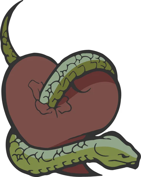 그것의 주위에 감싸인 뱀 가진 심장 — 스톡 사진