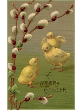 A vintage Easter postcard of a branch of pussy willow and three chicks clipart