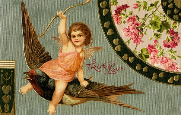 En vintage äkta kärlek valentine med cupid ridning en sparv — Stockfoto