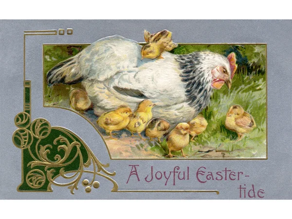 Um postal de Páscoa vintage de uma galinha e pintos — Fotografia de Stock
