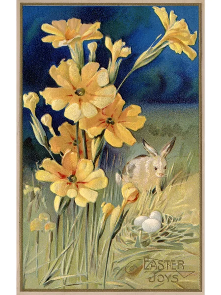 Una postal de Pascua vintage de flores de primavera, un conejo y huevos —  Fotos de Stock