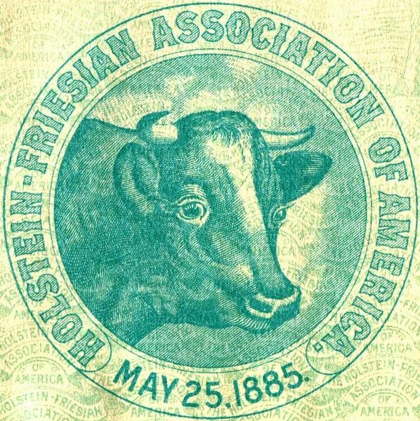 Emblem with a cow — Stock Photo, Image