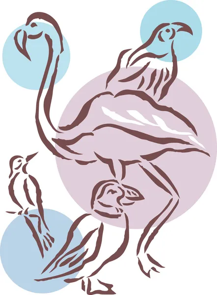 Zeichnung von Vögeln verschiedener Arten — Stockfoto