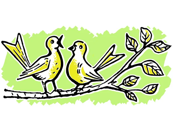 Dois pássaros em um galho de árvore cantando — Fotografia de Stock