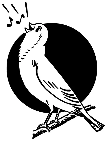 Una versión en blanco y negro de un pájaro sentado en una rama de árbol cantando frente al sol —  Fotos de Stock