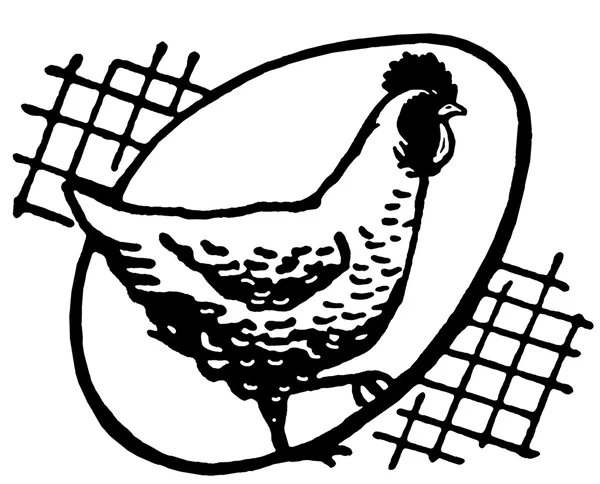Eine schwarz-weiße Version einer Henne mit einem Ei im Hintergrund — Stockfoto