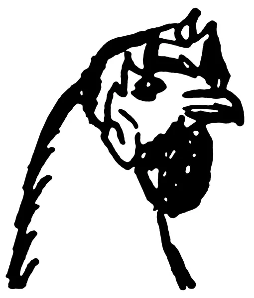 Uma versão em preto e branco de uma ilustração de close-up de uma cabeça de galinha — Fotografia de Stock