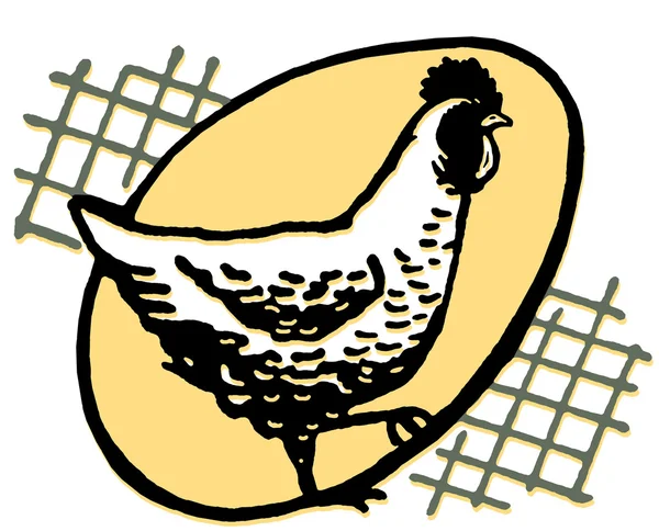 Курица с яйцом, силуэтом сзади — стоковое фото