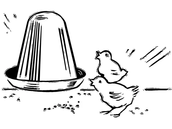 En svartvit version av två små kycklingar äter pallar från en feeder — Stockfoto