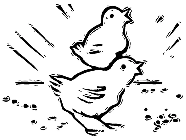 A black and white version of two small chirping chicks — Stock Photo, Image