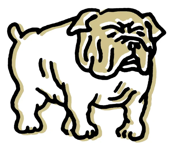 En linje ritning av en bulldog — Stockfoto