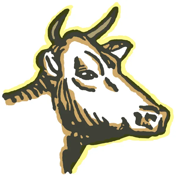 Portrét býk — Stock fotografie
