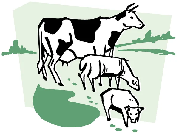 一头母牛的插图 — 图库照片