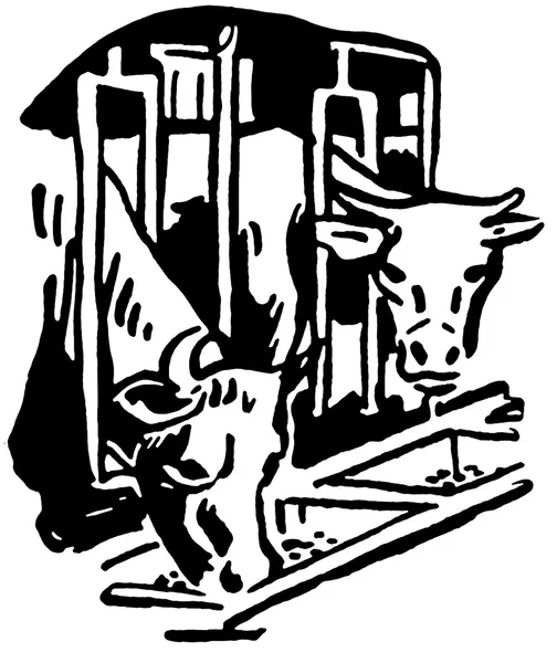 A black and white version of two bulls eating feed through a barn grill