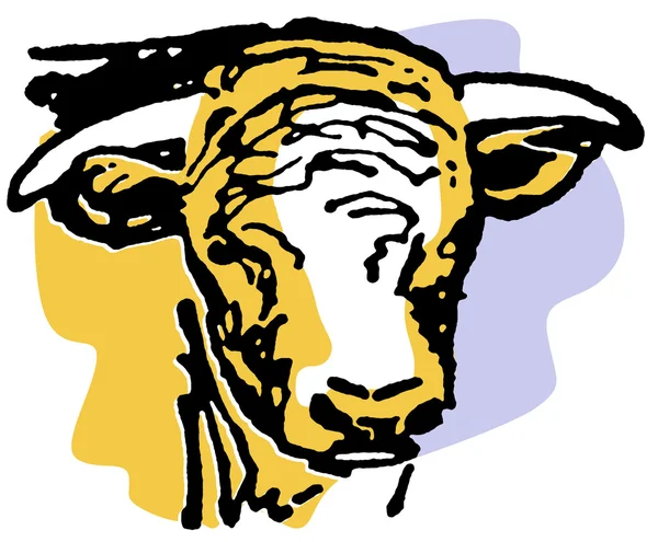 Портрет старого быка — стоковое фото
