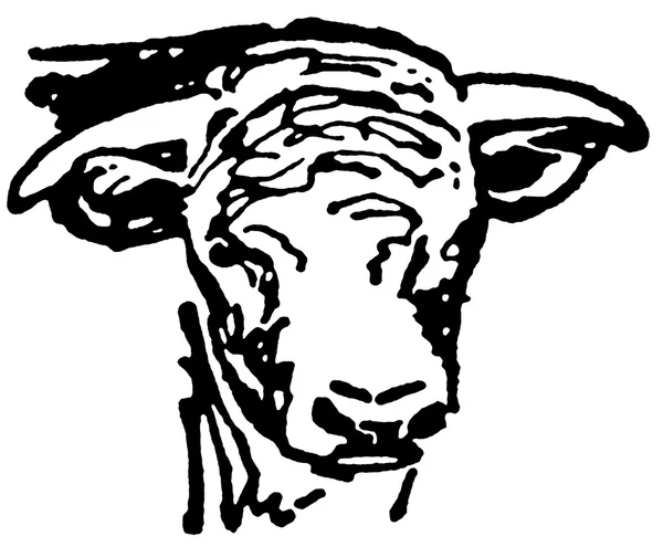 A black and white version of a portrait of an aged bull — Stock Photo, Image