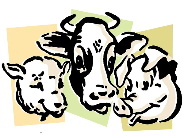 Portrét krávy, — Stock fotografie