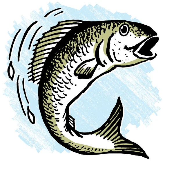 Illustration d'un poisson hors de l'eau — Photo
