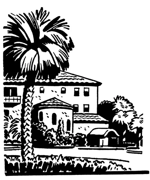 Una versión en blanco y negro de una ilustración de una casa grande con una palmera bien establecida en el patio delantero — Foto de Stock