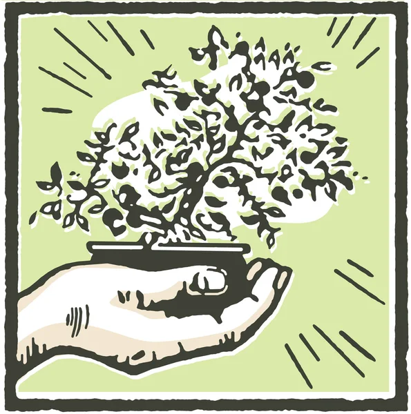 Uma impressão de uma mão segurando uma árvore Bonsai — Fotografia de Stock