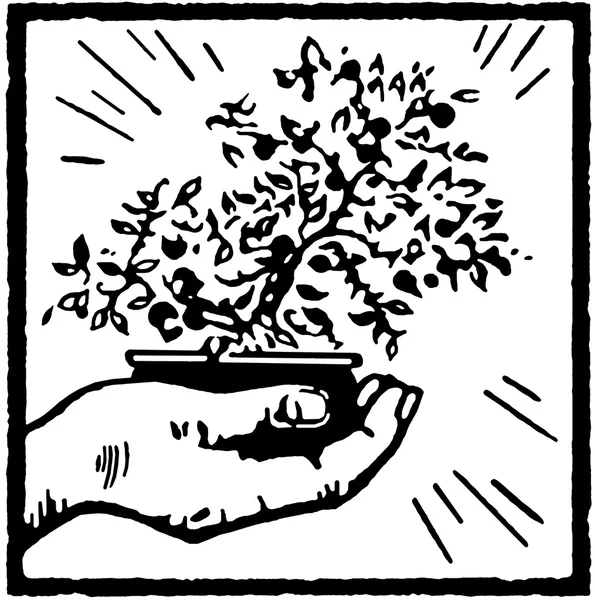En svartvit version av en utskrift av en hand som håller en bonsaiträd — Stockfoto