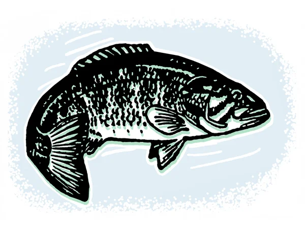 En svartvit version av en illustration av en fisk — Stockfoto
