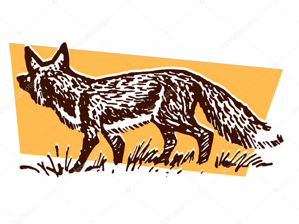 An illustration of a prowling fox