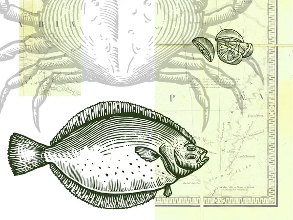 Drawing of a fish, crab and sliced lemon, with a map as backgrou — Stock Photo, Image