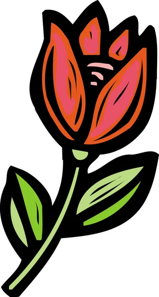 Desenho de uma tulipa vermelha — Fotografia de Stock