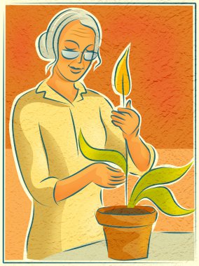 An elderly woman tending to her potted plant clipart